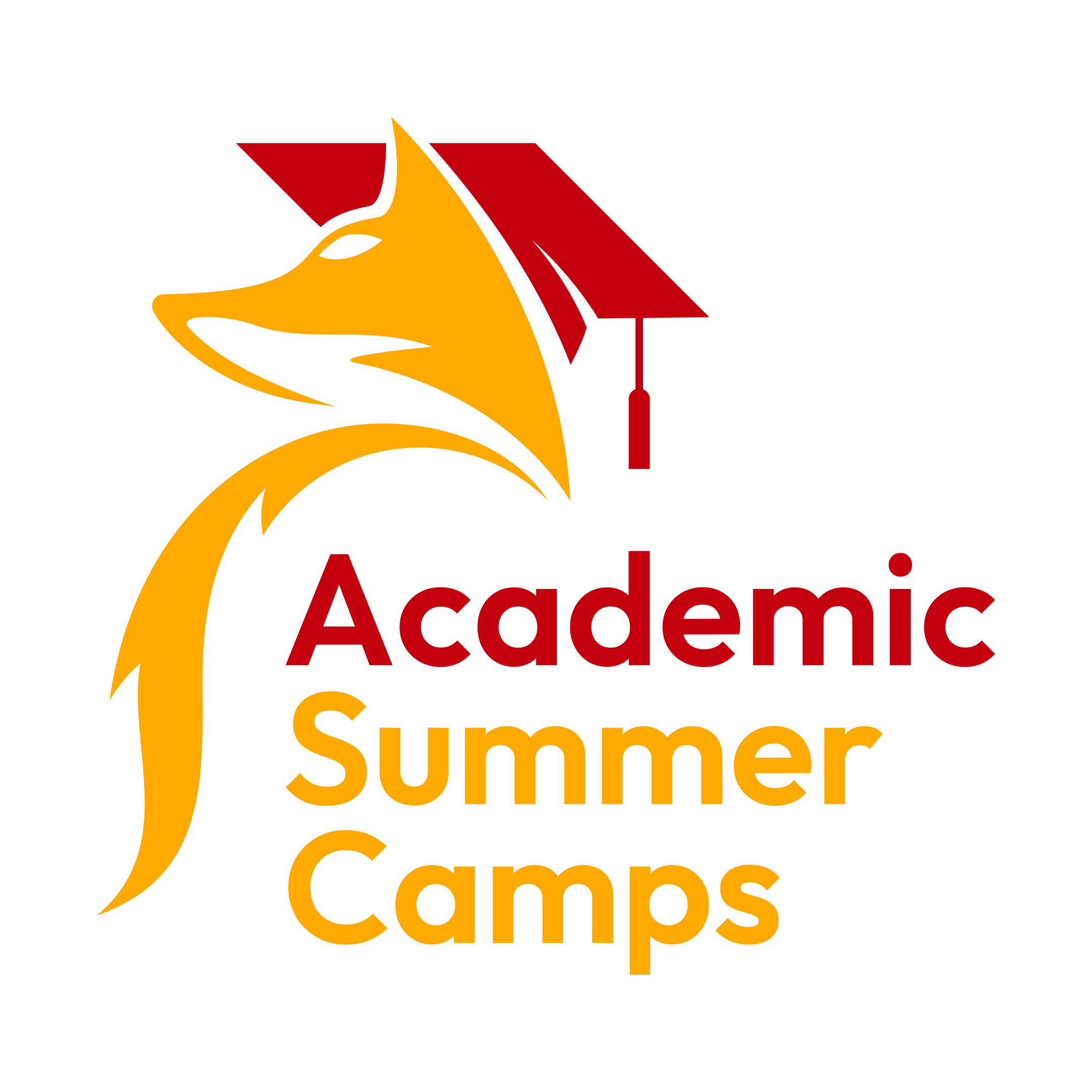 Academic Summer day students